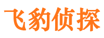 河津市调查取证